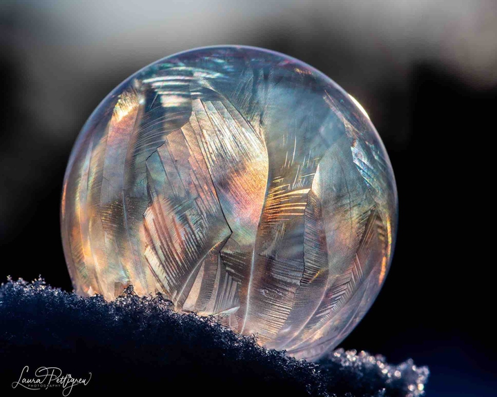 frozen bubble