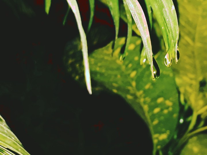 drop