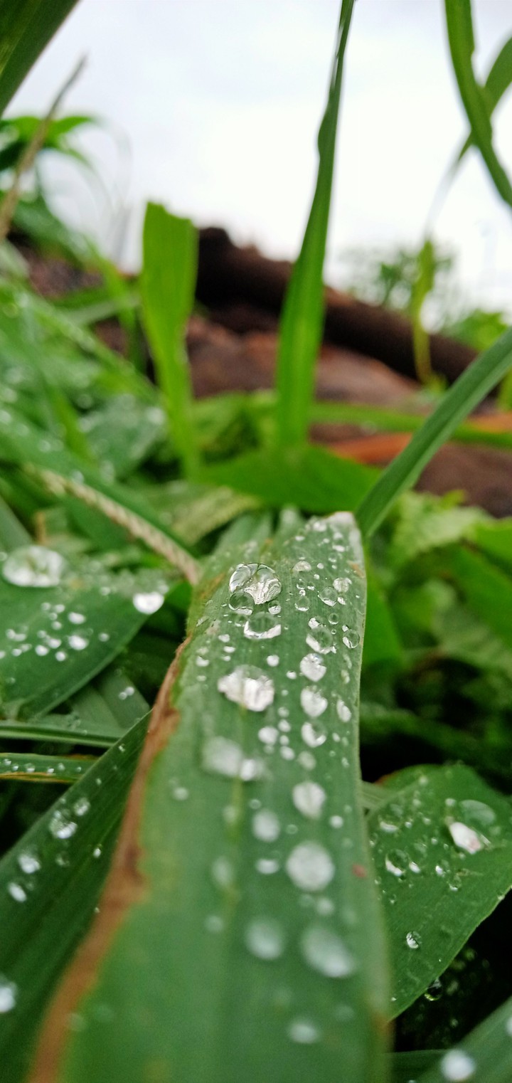 #mobile photography# 4