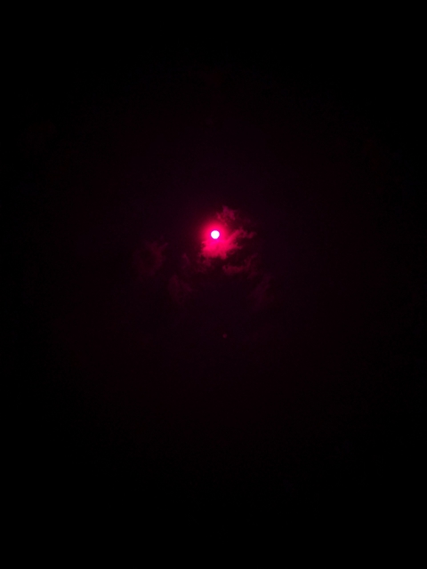 the moon in the dark night