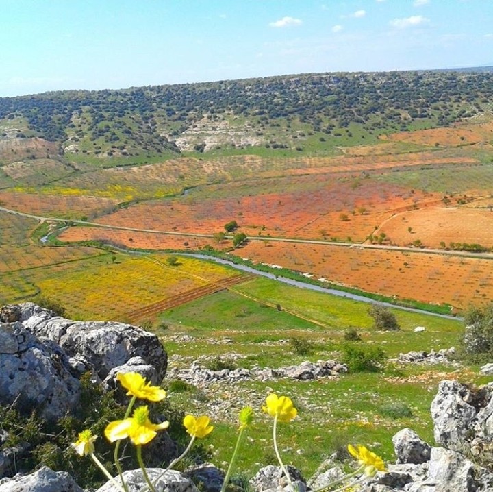türkiye gaziantep