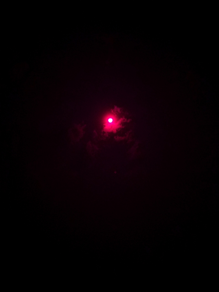 the moon in the dark night