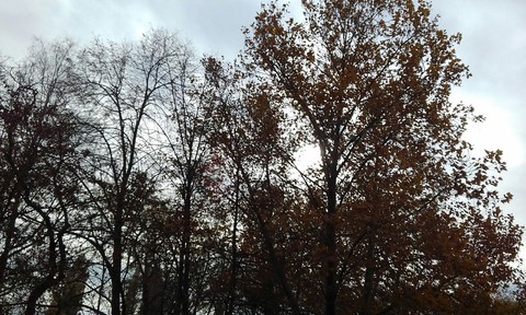 Autumn...