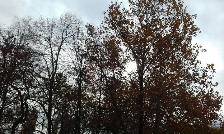 Autumn... 