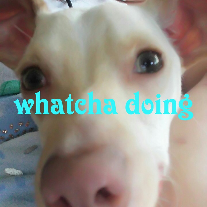 haha