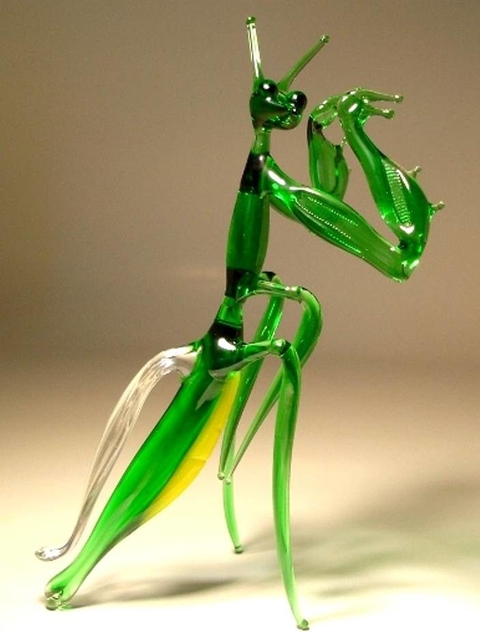 cricket, grasshopper achtergronden