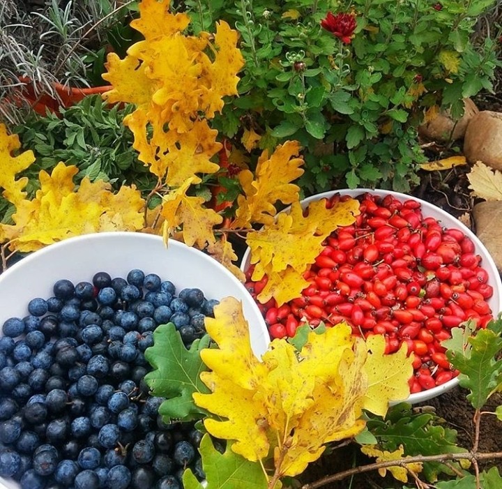colours of autumn