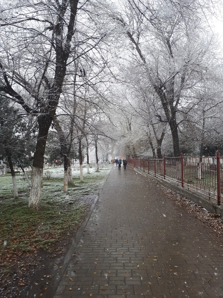 первый снег