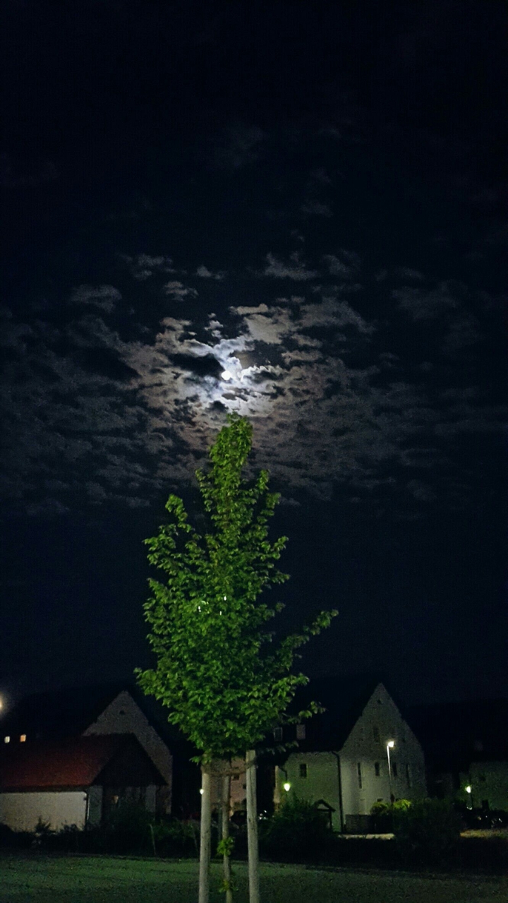 Night