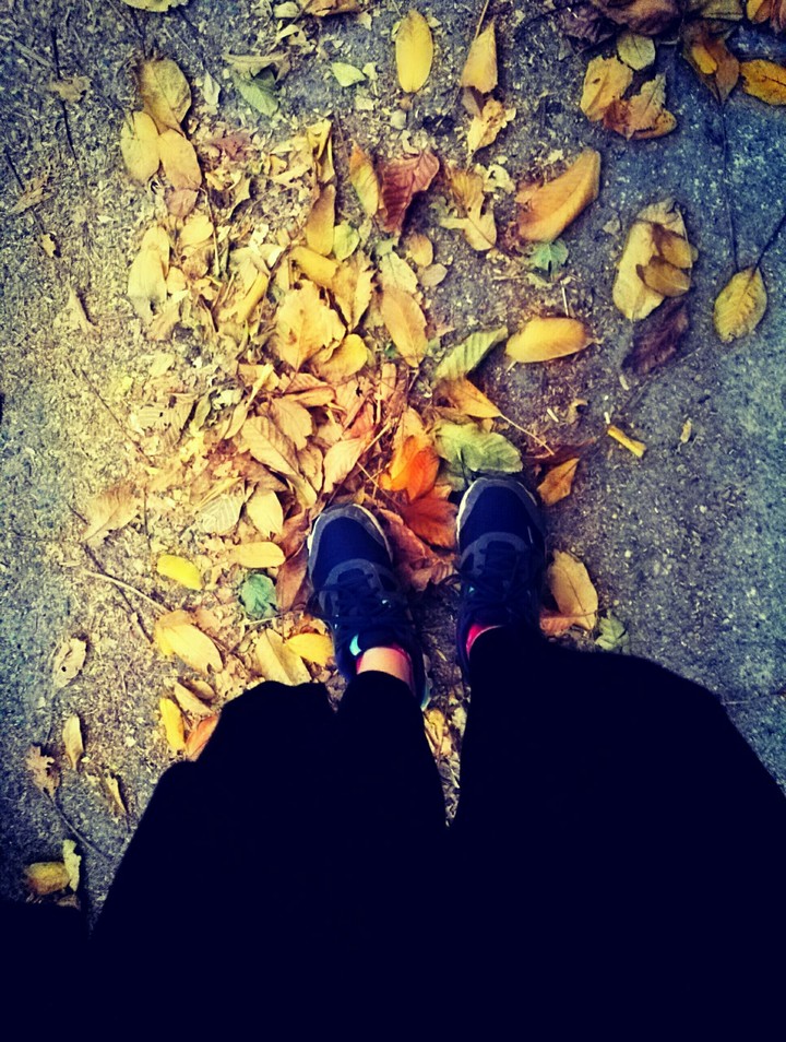 autumn