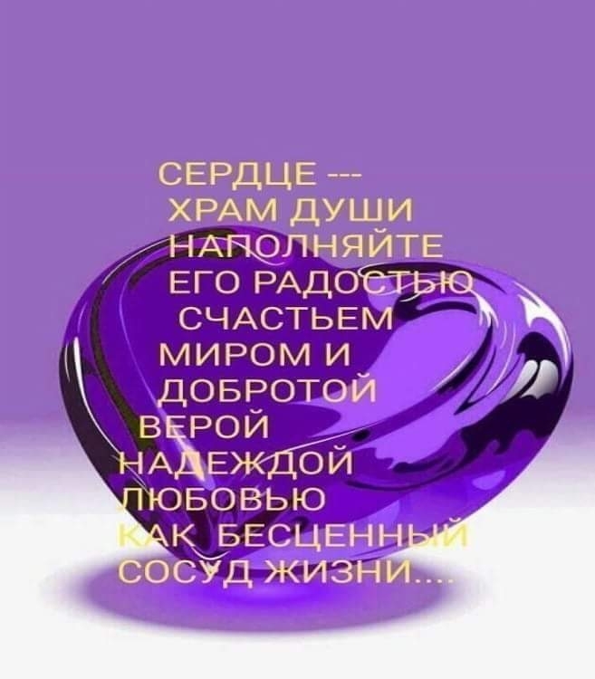 жизнь