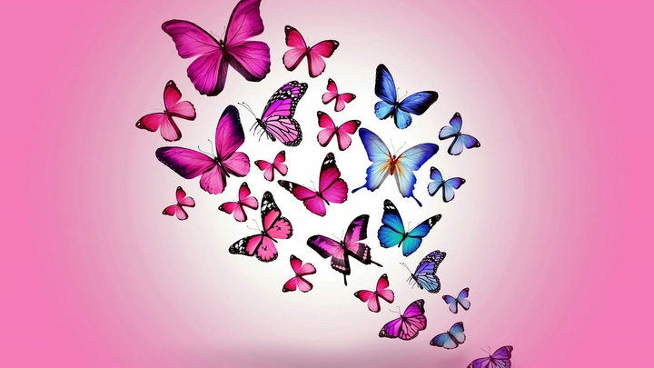 ButterFlies