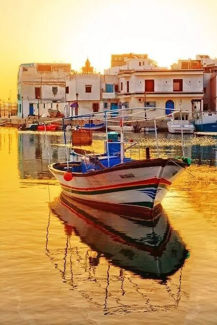 تونس tunis