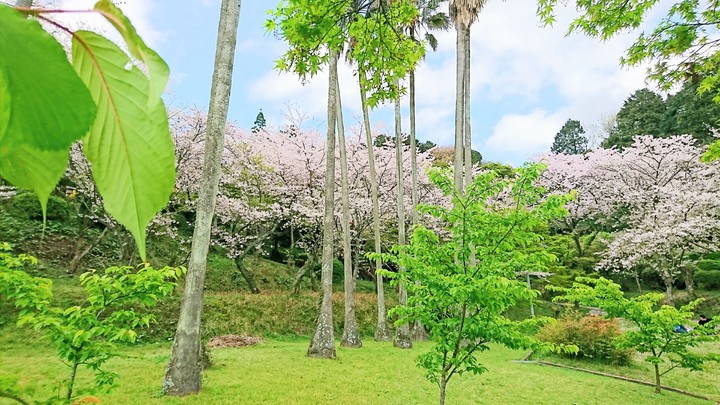 OHANAMI