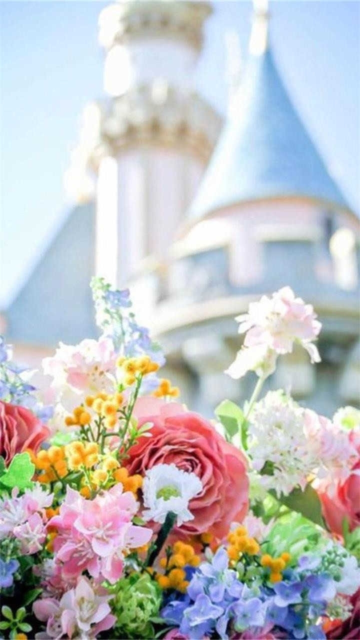 Disney Park❤❤