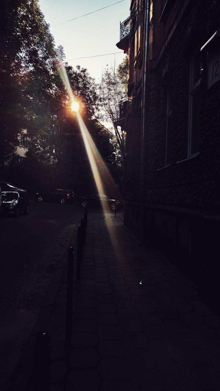 sunshine