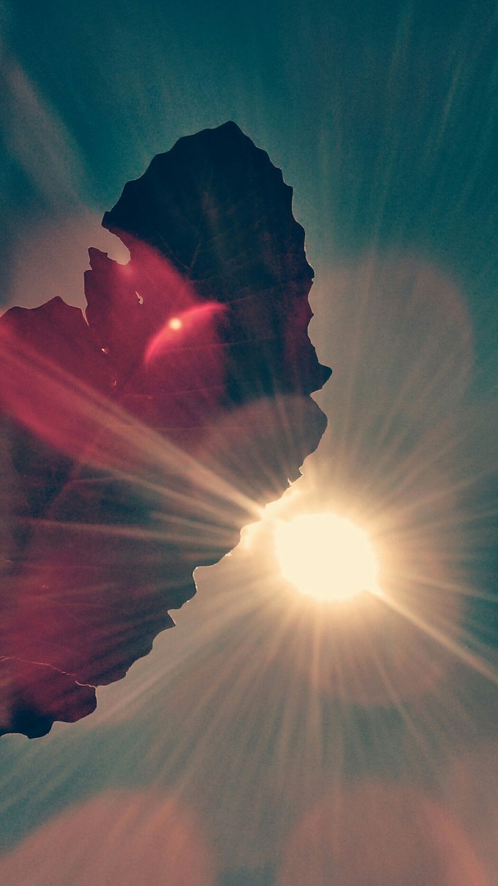 sun