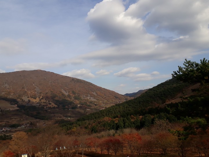 자연