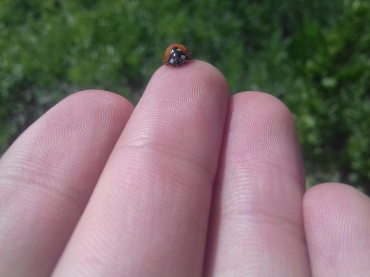 Hello friend