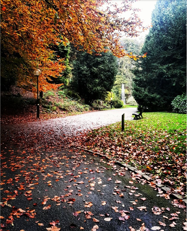 Park