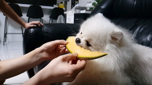 구르이