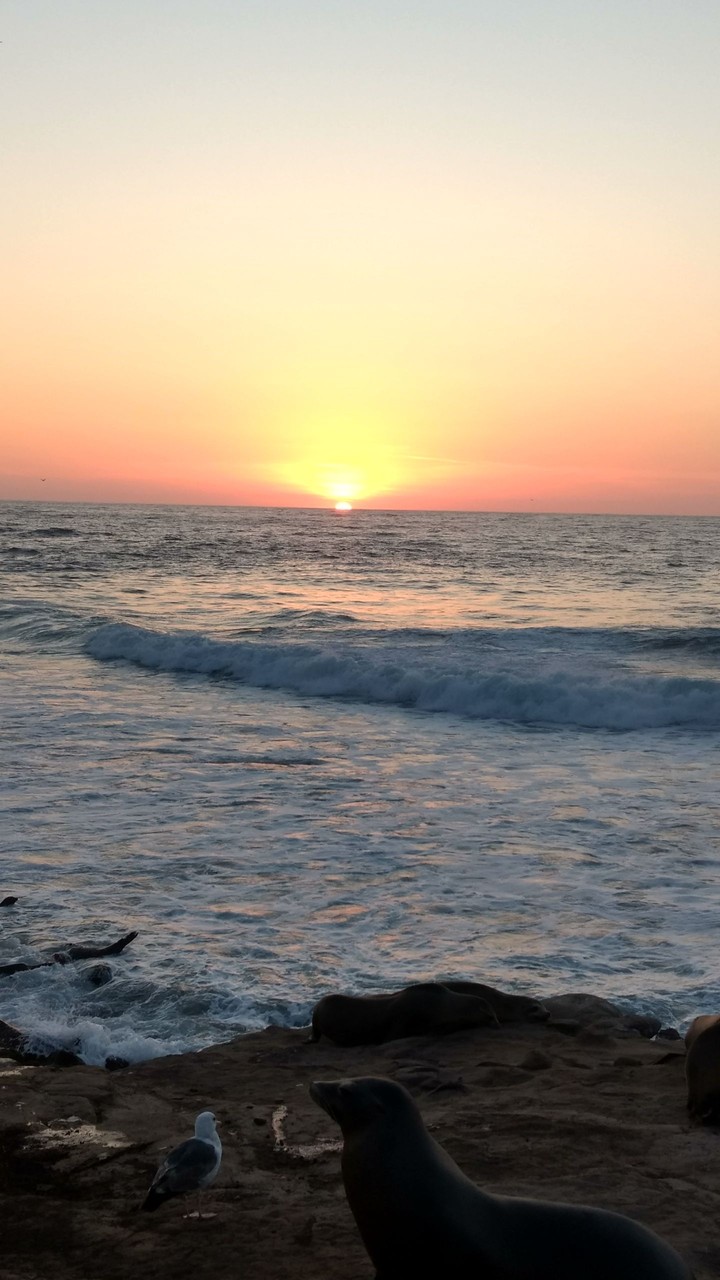 Sunset on the Beach