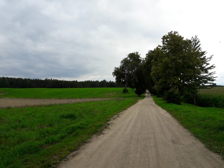 Forest Road