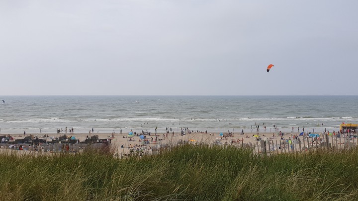 beach windy