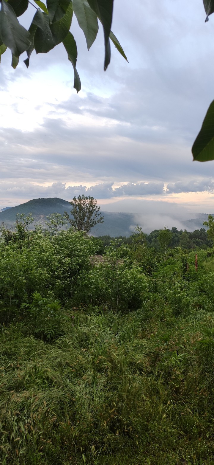 Bulgaria Rodopa mountain's