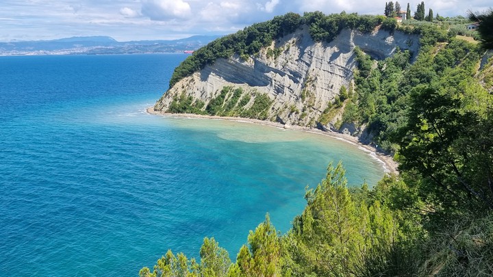 vitamin sea