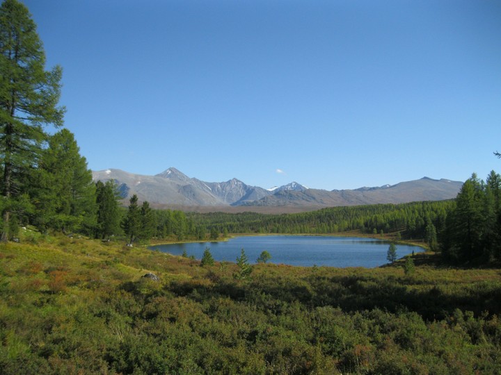 nature of Altai