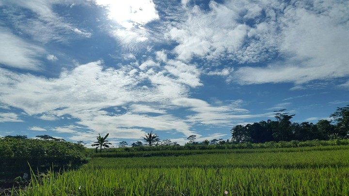 Cloud ..
