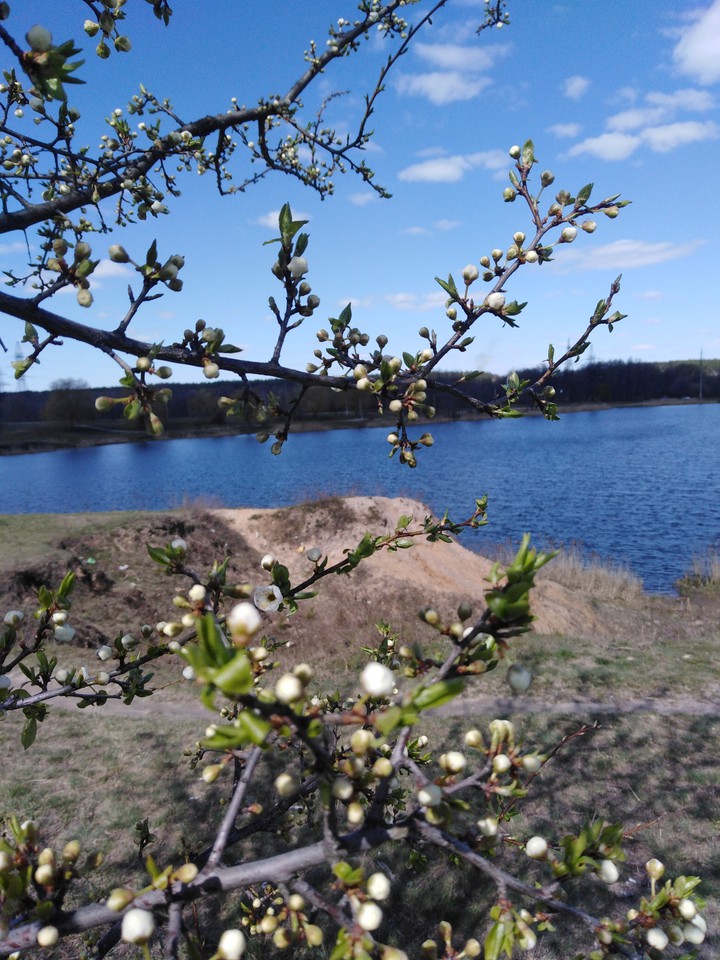 spring