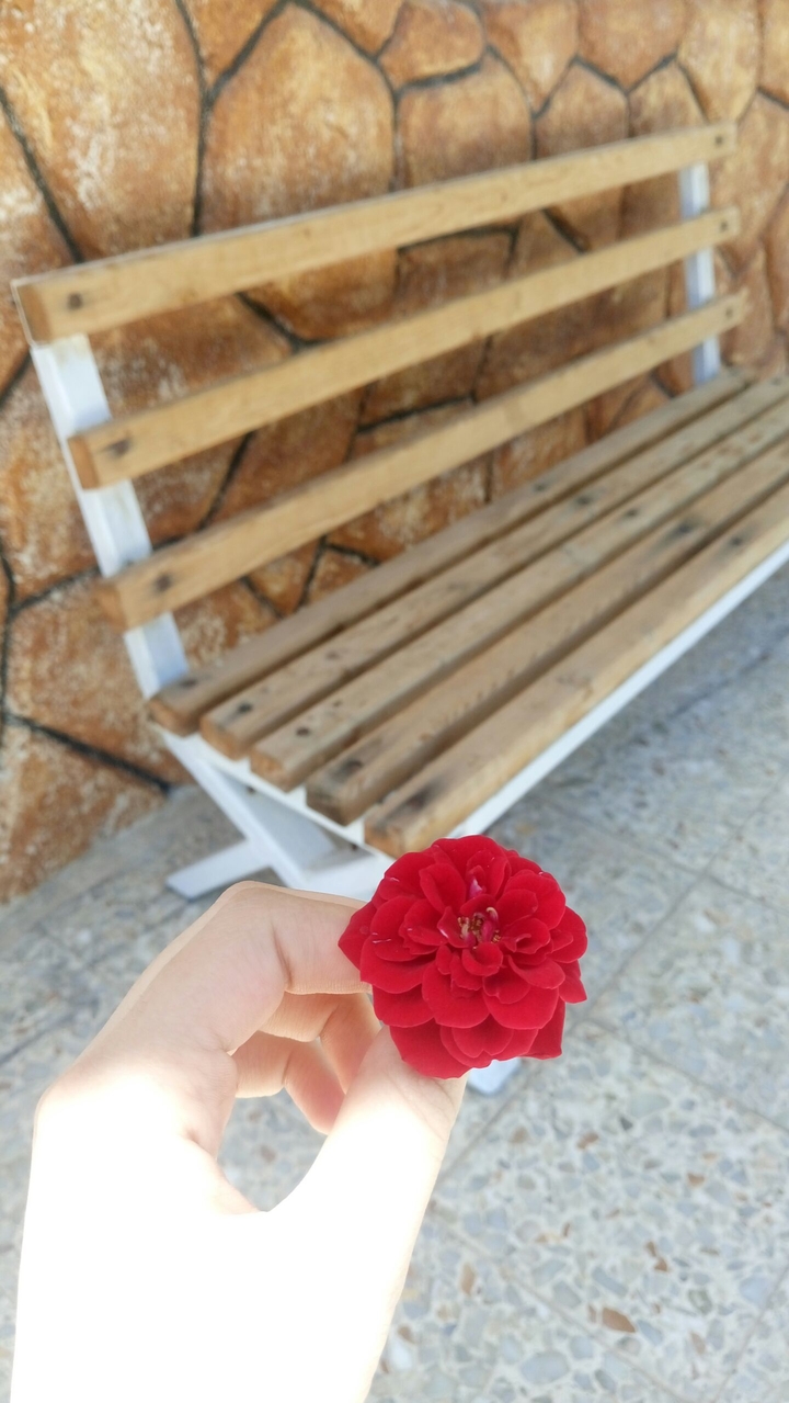 wood