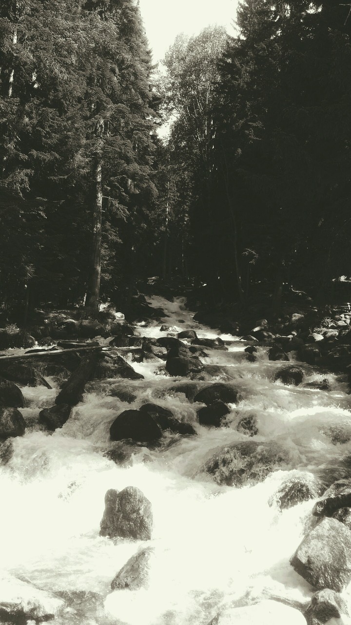 water