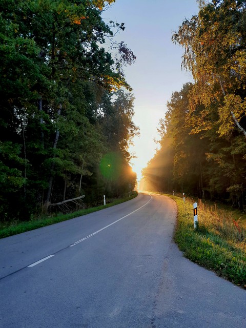 Road, Daytime, Nature