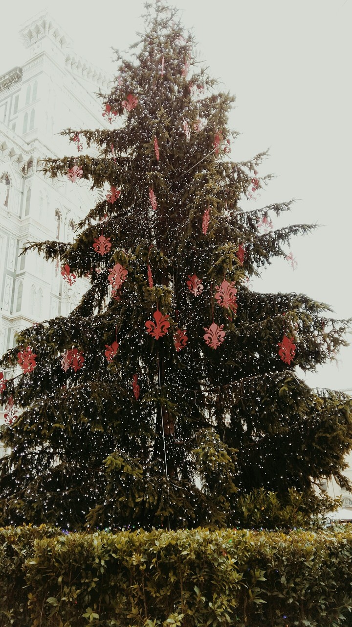 Natale