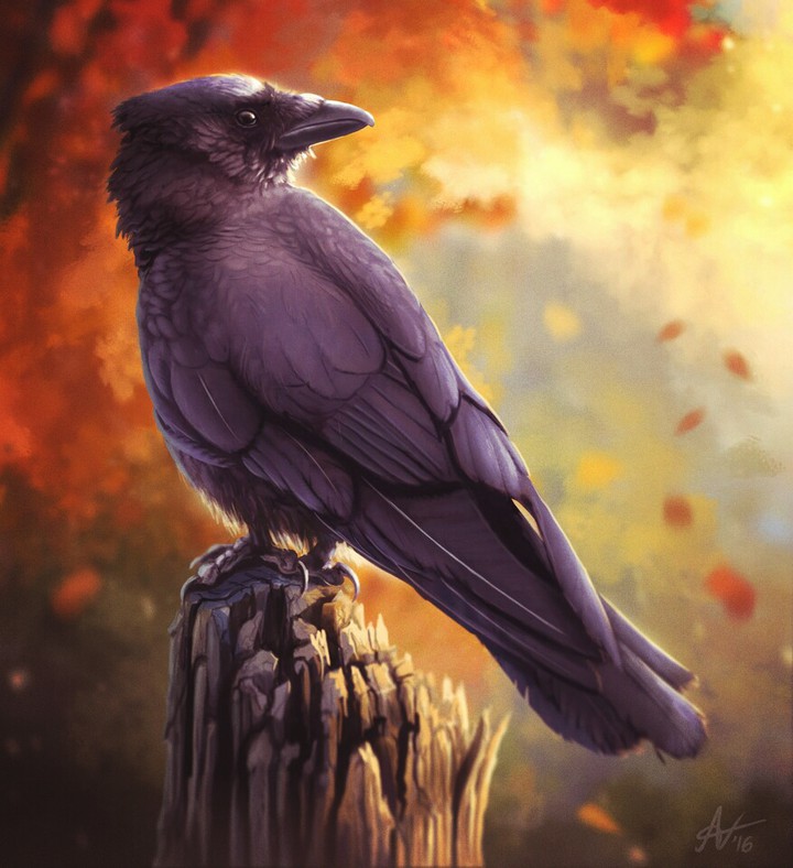 crowe