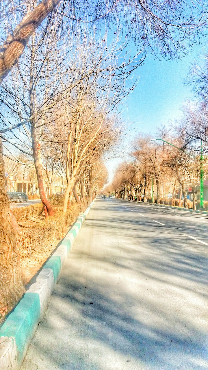 Fall Road