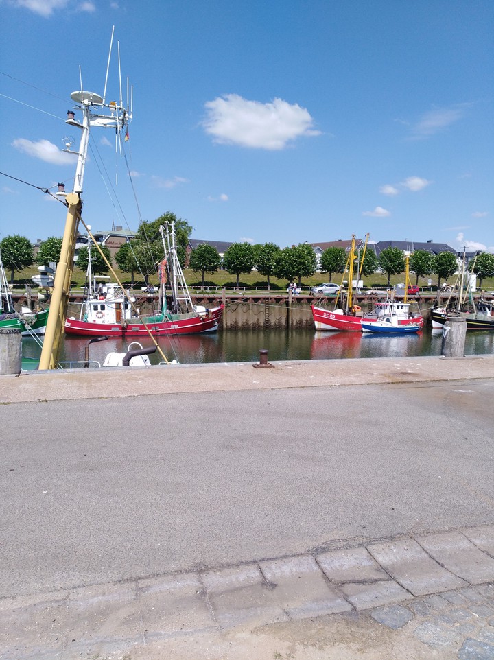 Krabben Kutter Büsum