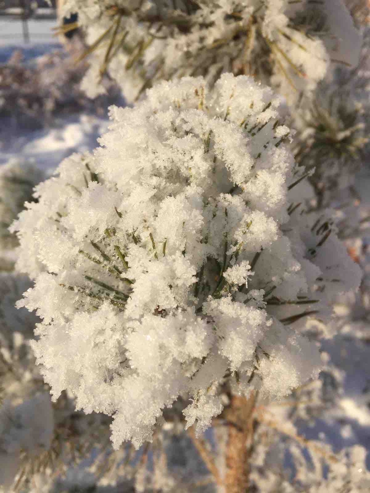 Snow