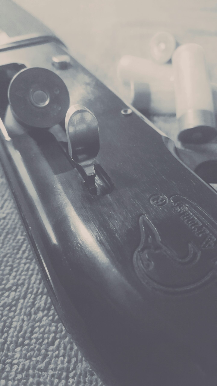 gun