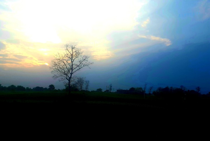 Landscape
