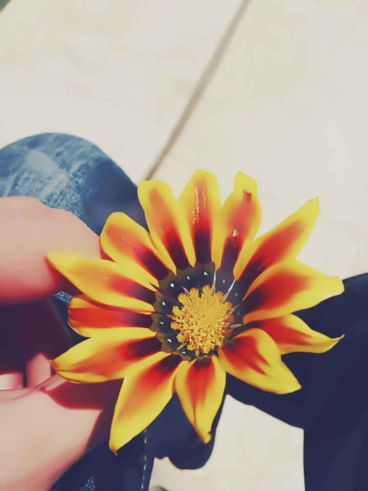 a flower
