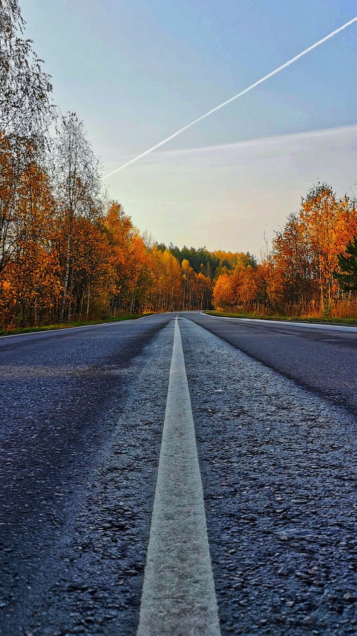 Autumn road