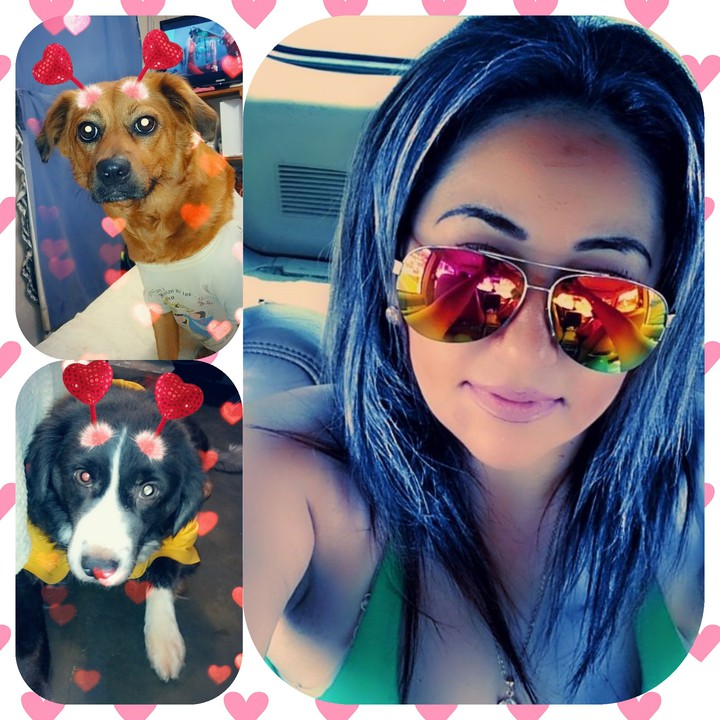 Mis Amores