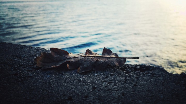 Sea
