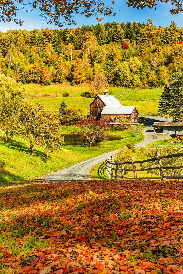 007