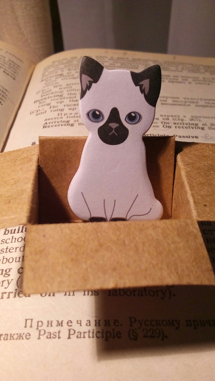 Kitten Stickers