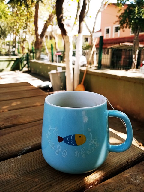 I like cup with fish
